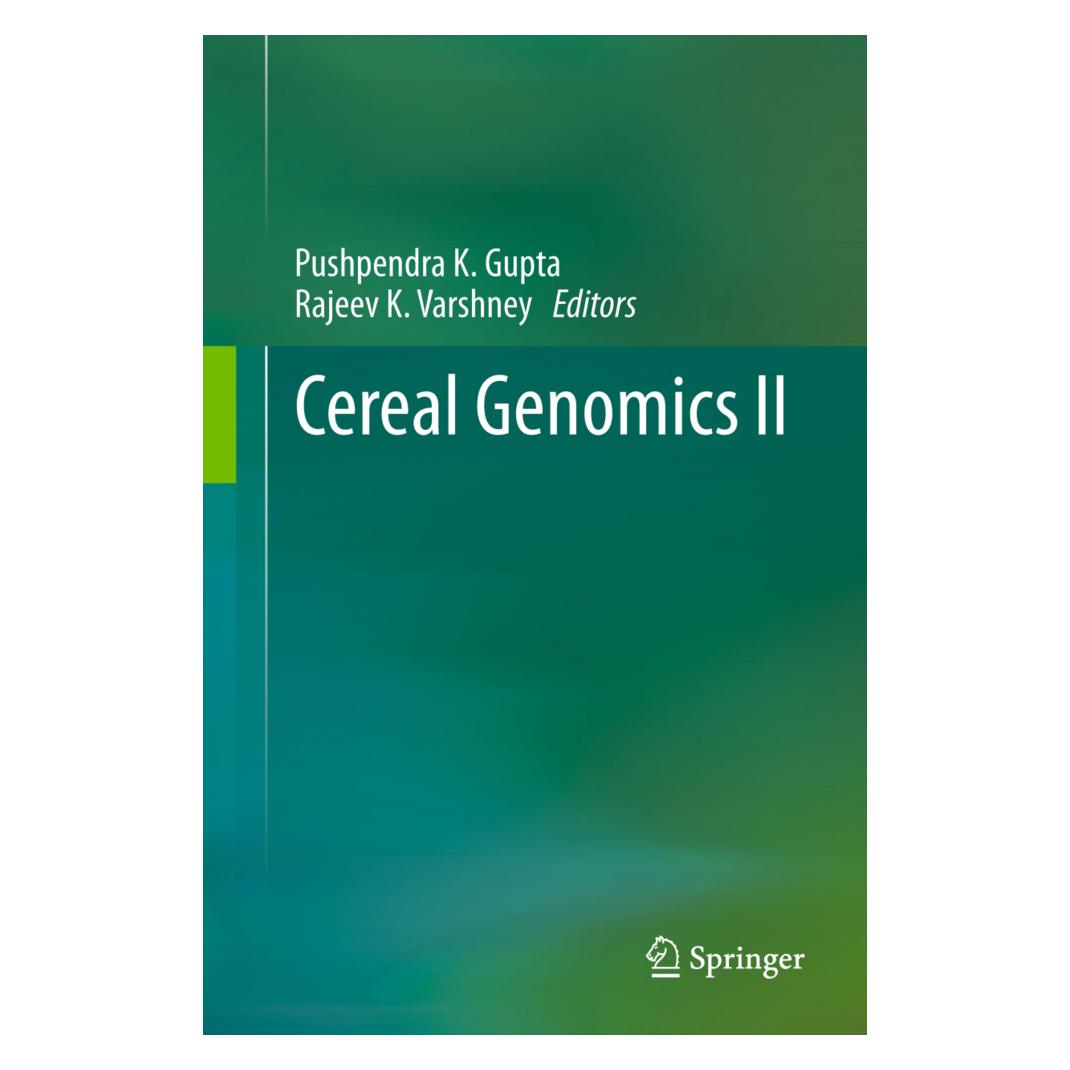 Springer Cereal Genomics II (Englisch, Softcover, K Gupta, Pushpendra K. Gupta, Rajeev Varshney) (55592874)
