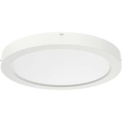 RIDI 322094 322094 LED-Deckenleuchte LED Lichtquelle nicht austauschbar 18 W Weiß