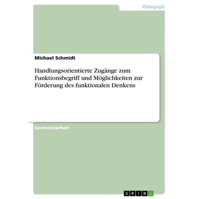 Handlungsorientierte Zugänge zum Funktionsbegriff und Möglichkeiten zur Förderung des funktionalen Denkens, Taschenbuch von Michael Schmidt, GRIN,