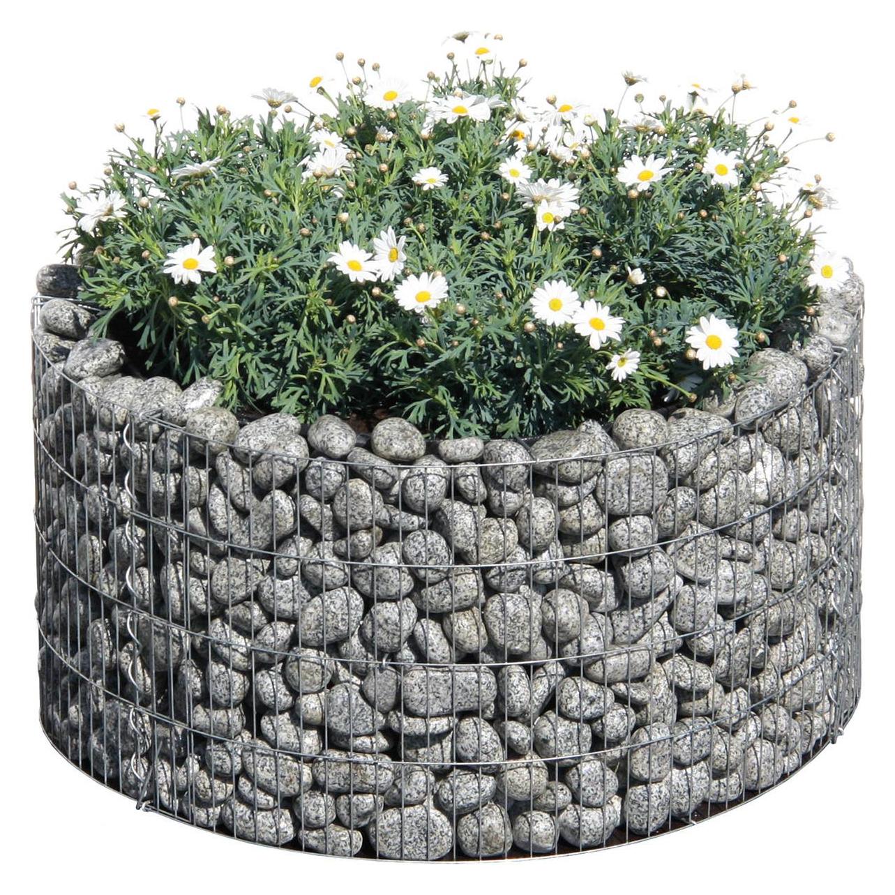 Bellissa Basic Rund (95573)