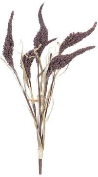 Melrose International Seeded Harvest Bush (Set of 12)