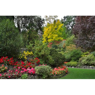 Fototapete PAPERMOON "Fluss in Garten", bunt, B:2m L:1,49m, Vlies, Tapeten