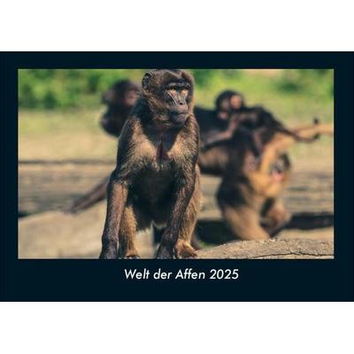 Welt der Affen 2025 Fotokalender DIN A4