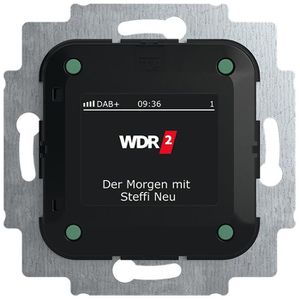 Busch-Jaeger Radio 8215 U-101 DAB+, Unterputz-Radio