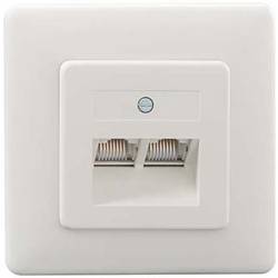Rutenbeck UAE 2x8(8) Up rw Netzwerkdose Unterputz Einsatz mit Zentralplatte und Rahmen CAT 3 Reinweiß 13010246