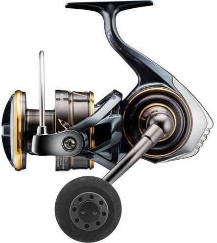 Daiwa 22 Caldia SW 750