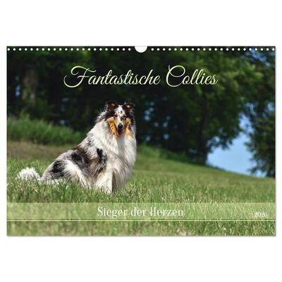 Fantastische Collies - Sieger der Herzen (Wandkalender 2026 DIN A3 quer), CALVENDO Monatskalender