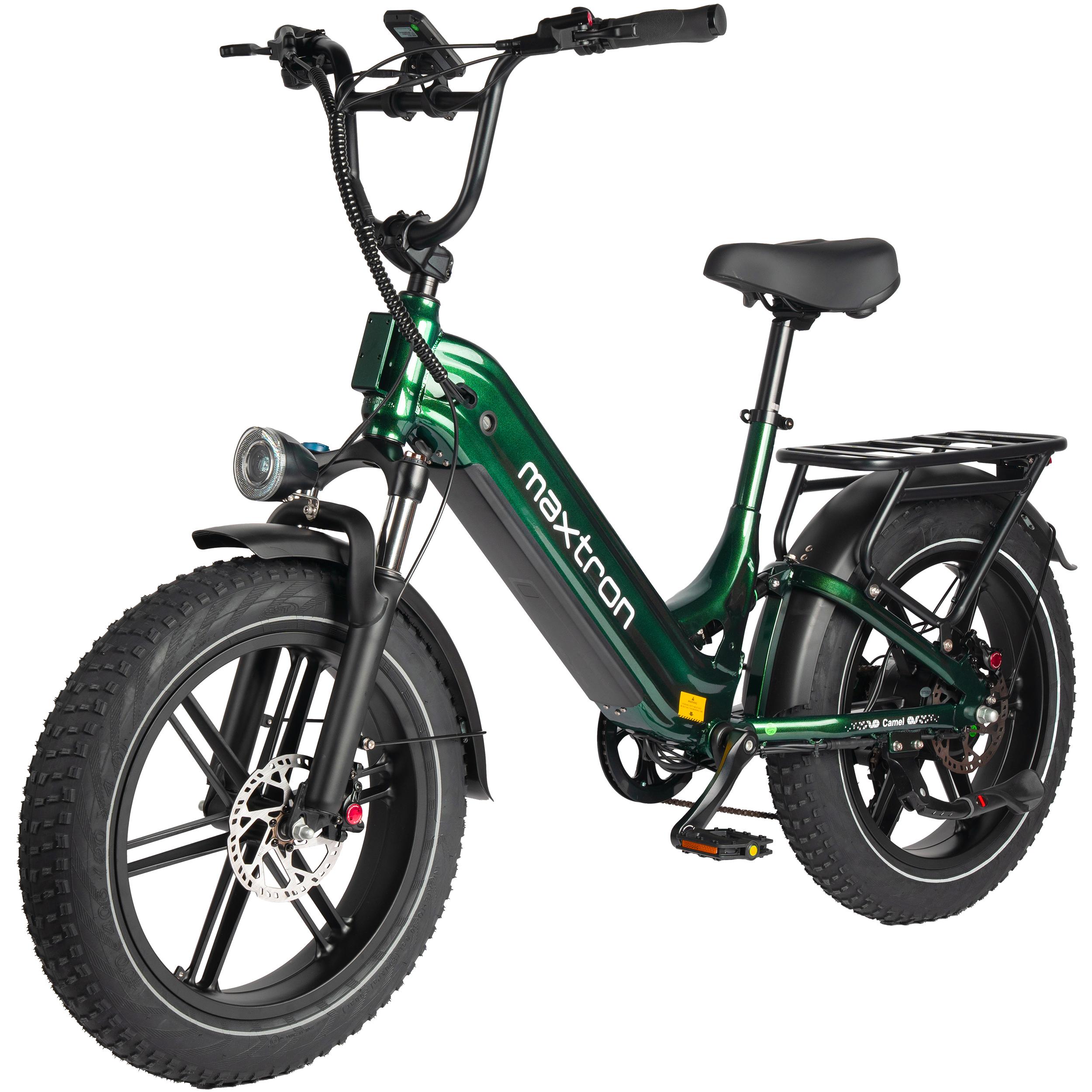 Camel E-Fully Fahrrad, 250 W, 25 km/h, 48 V 18 Ah, 60 N.m, grün
