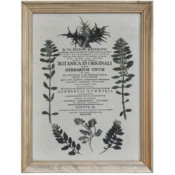 Chic Antique Bild mit wilden Blumen und Naturrahmen, Höhe 43, Länge 33 cm, Botanica