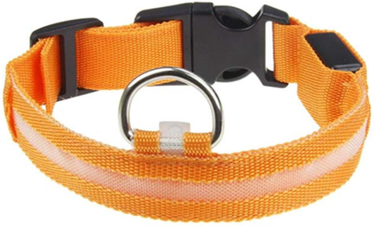 Pet Hub Waterproof LED Dog Collar With Light Orange L