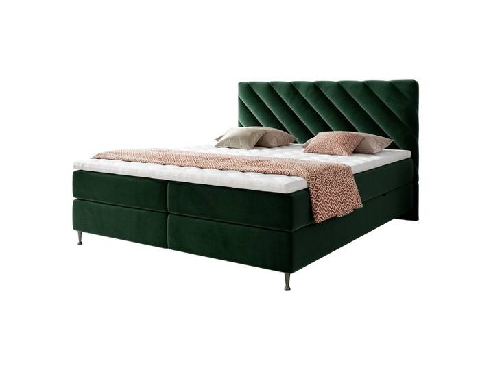 BOXBETT Enzo - H3