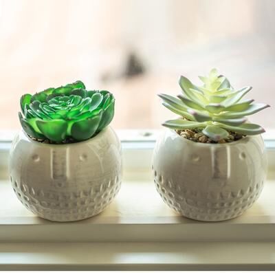 Flora Bunda SET OF 2 Faux Succulent in CYLINDER COOL FACECeramic Pot - ONE-SIZE