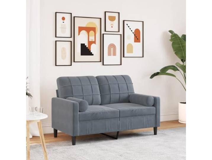 HEFZGDB 2-Sitzer Sofa Dunkelgrau 120 cm Samt mit Zierkissen – Bequemes Polstermöbel für Wohnzimmer mit Abnehmbaren Bezügen, Robustes Metallgestell und Weiche Sitzflächen