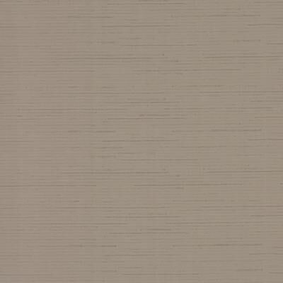 Antonina Vella Ribbon Bamboo Silver Metallic Wallpaper