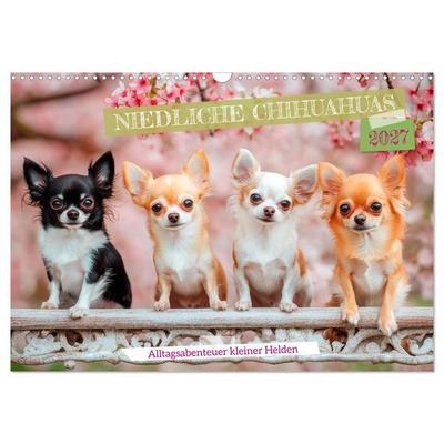 Niedliche Chihuahuas (Wandkalender 2027 DIN A3 quer), CALVENDO Monatskalender