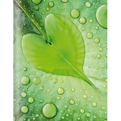 Grünes Herz, Gebundene Ausgabe von , Tushita PaperArt GmbH, 978-3-95929-770-7