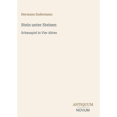 Stein unter Steinen, Gebundene Ausgabe von Hermann Sudermann, Antiquum Novum Verlag, 978-3-387-43163-6