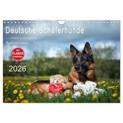 Deutsche Schäferhunde Seelentröster (Wandkalender 2026 DIN A4 quer), CALVENDO Monatskalender