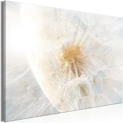 Artgeist, Bilder, Dandelion in the Sun (1 Part) Wide (120 x 80 cm)