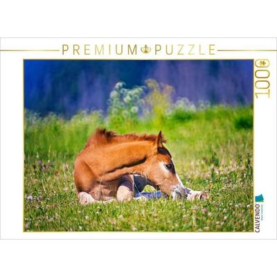 CALVENDO Puzzle kurze Erholung im Liegen | 1000 Teile Lege-Größe 64x48cm Foto-Puzzle für glückliche Stunden, Sonstige von , Calvendo Puzzle