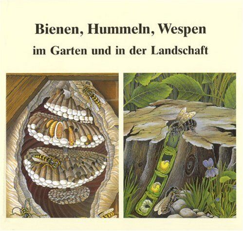 Helmut Hintermeier - Bienen, Hummeln, Wespen im Garten und in der Landschaft. Honigbienen, Hummeln, Solitärbienen, Wespen und Hornissen - Preis vom 17.10.2026 19:25:27 h