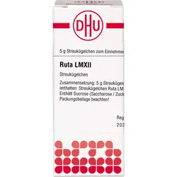 Ruta Lm Xii 5 G