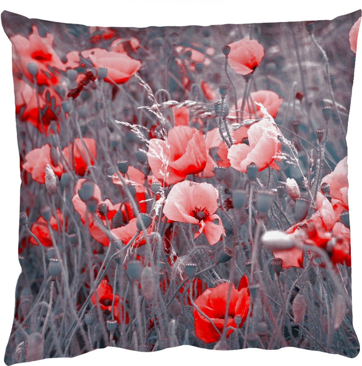Sierkussen met rode klaprozen in zwart-wit afbeelding, 60 x 60 cm