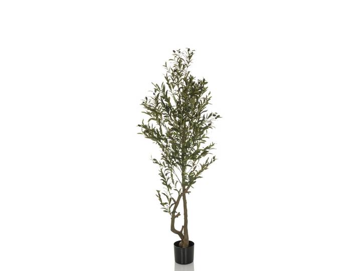 Plante Artificielle / Arbre Artificiel Olivie I 172 Cm Vert Hjh Office