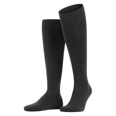 Kniestrümpfe FALKE "Family", Herren, Gr. 39-42, schwarz (anthra.mel), Baumwollmischung, unifarben, normal, Socken Kniestrümpfe, atmungsaktiv, weich, Rippenbündchen