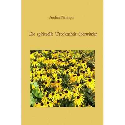 Die spirituelle Trockenheit überwinden, Taschenbuch von Andrea Pirringer, Epubli, 978-3-7375-9740-1