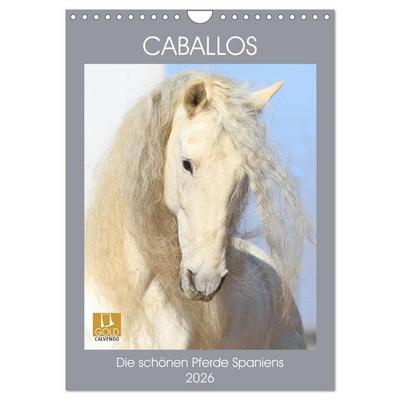 Caballos - Die schönen Pferde Spaniens (Wandkalender 2026 DIN A4 hoch), CALVENDO Monatskalender