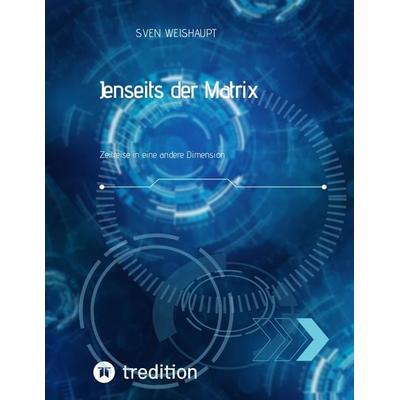 Jenseits der Matrix/Synchronizität/Morphogenetisches Feld/Bewusstseinsforschung/Urfeld-Theorie/Neues Zeitalter/Lichtkörperprozess, Gebundene Ausgabe