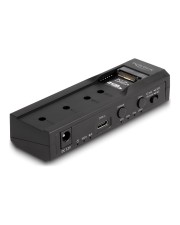 Delock USB Type-C Konverter für 1 x M.2 NVMe SSD+ 1 SATA HDD mit Klon (64252)