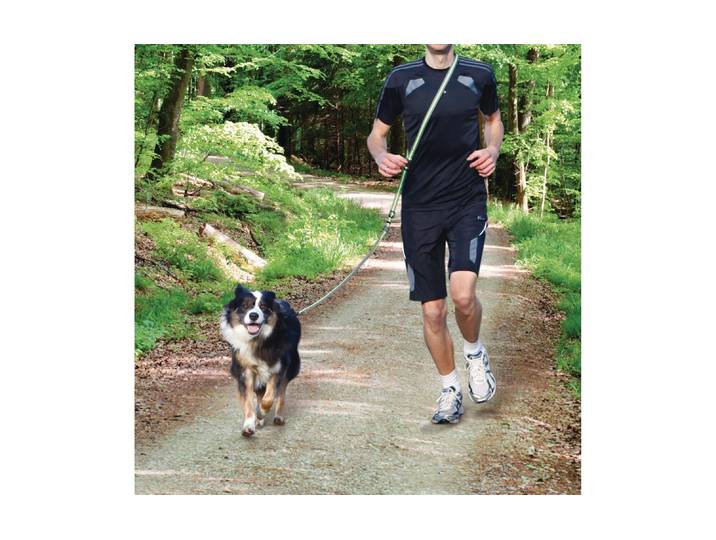 Hundeleine TRIXIE Dog Activity 1. , grün (grau, grün), B:2cm L:1,8m, Polyester, Leinen, Hundeleine