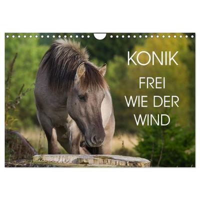 Konik - Frei geboren (Wandkalender 2027 DIN A4 quer), CALVENDO Monatskalender