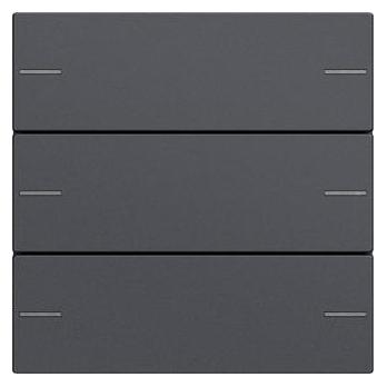 Gira Wippenset (575328)