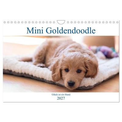 Mini Goldendoodle - Glück ist ein Hund (Wandkalender 2027 DIN A4 quer), CALVENDO Monatskalender