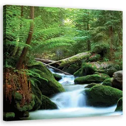 LEINWANDBILD, Landschaften - Grün 40x40cm