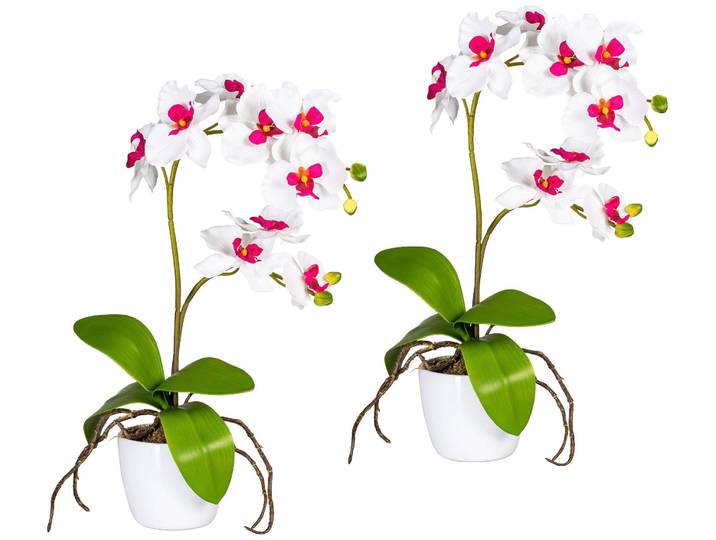 Kunstpflanze CREATIV GREEN Orchidee Phalaenopsis , rosa, H:60cm, Kunststoff, Polyester, Kunstpflanzen, Kunstpflanze, im Keramiktopf