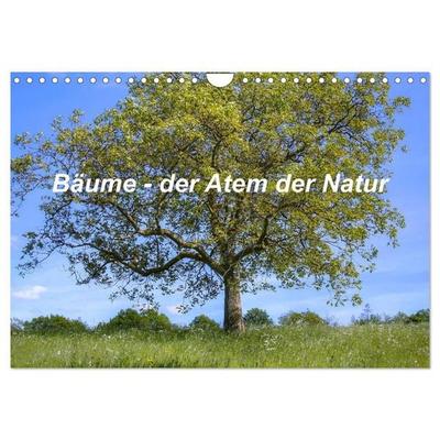 Bäume, der Atem der Natur (Wandkalender 2027 DIN A4 quer), CALVENDO Monatskalender