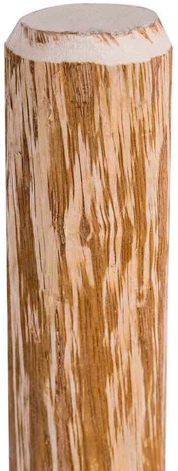 vidaXL Poteaux pointus de clôture 4 pcs Bois de noisetier 90 cm