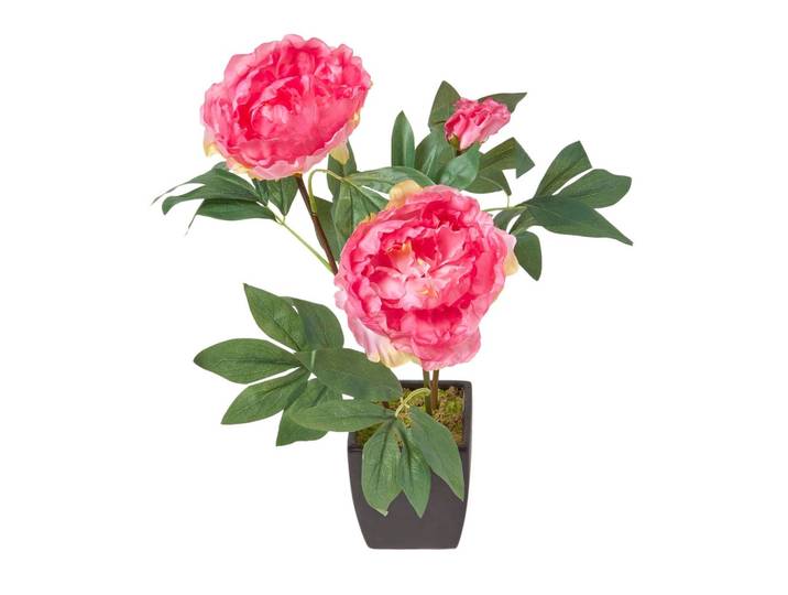 KUNSTBLUME Pfingstrose rosa im Deko-Topf, 46 cm