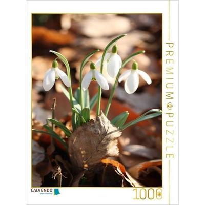 CALVENDO Puzzle Schneeglöckchen mit trockenem Laub in der Frühlingssonne | 1000 Teile Lege-Größe 64x48cm Foto-Puzzle für glückliche Stunden