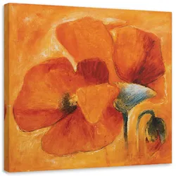 LEINWANDBILD, Orangefarbene Mohnblumen in Nahaufnahme 40x40cm