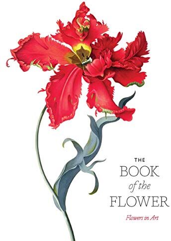 Angus Hyland - The Book of the Flower Flowers in Art - Preis vom 11.10.2026 03:10:56 h