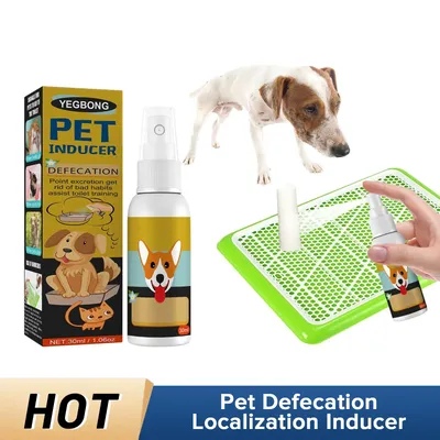 Paw Guide Potty Training Spray For Dogs & Cats Dog Potty Training Spray For Faster Toilet Training Paw Guide Potty Training Spray For Dogs & Cats Dog Potty Training Spray For Faster Toilet Training