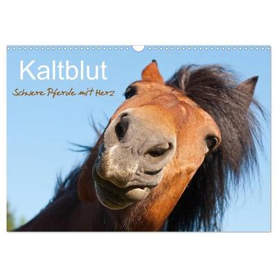 Kaltblut - schwere Pferde mit Herz (Wandkalender 2027 DIN A3 quer), CALVENDO Monatskalender