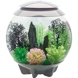 biOrb HALO 30 MCR grau (72041)