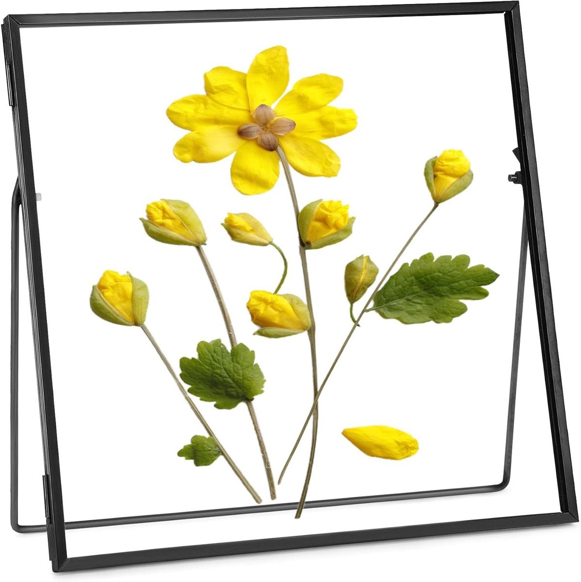 Handgemaakte geometrische glazen lijst met zwevend frame voor bloemen, zwart, 8x8 inch