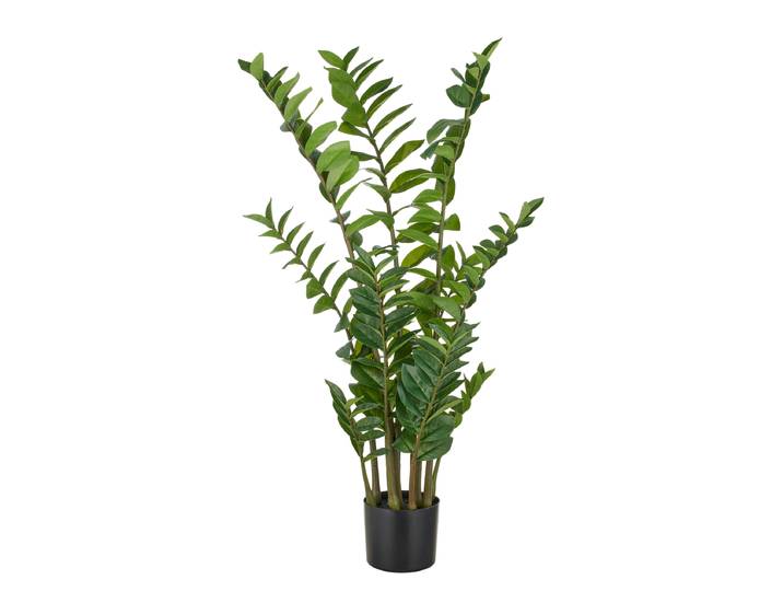 Zamioculcas artificiel 110cm